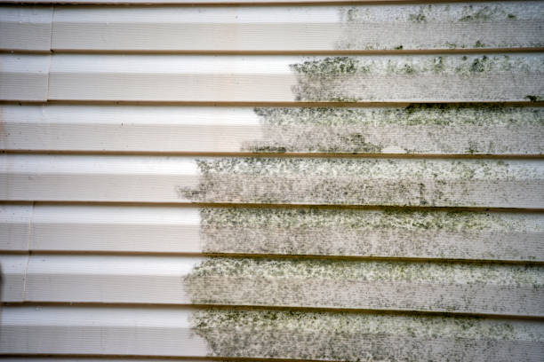 Best Construction Debris Removal  in Seaman, OH